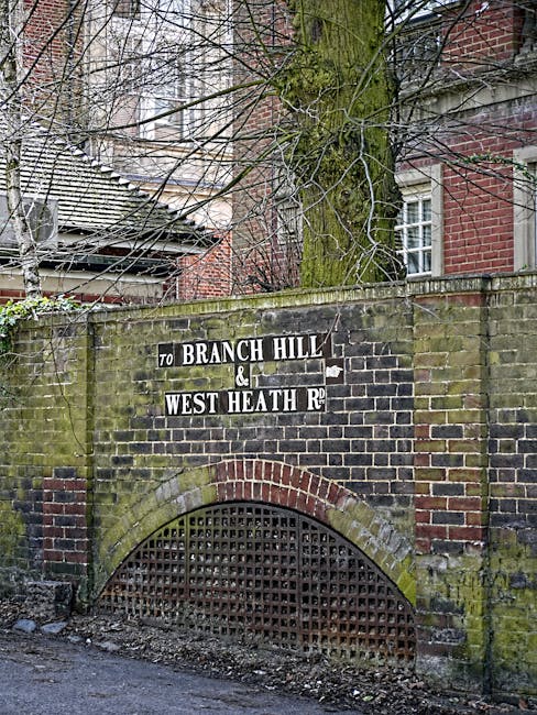 A weathered brick wall featuring a black and white directional street sign with the text 'TO BRANCH HILL & WEST HEATH RD', partially obscured by a large, leafless tree with rough, mossy bark. The brickwork shows signs of age and moss growth, especially around the archway at the bottom of the wall, which is reinforced with a metal grille. Behind the wall, the tiled roof of a residential building and a section of brick wall with white-framed windows are visible, suggesting an urban or suburban environment. The scene is captured during daylight with overcast lighting, emphasizing the textures of the aged brick and moss, relating indirectly to local infrastructure and the importance of proper rubbish and waste management in maintaining historical and residential areas. The presence of the brick arch and signage reflects an area with traditional local street naming conventions, which can sometimes be affected by delays or problems in rubbish removal and maintenance services managed by independent companies or private waste collection providers like House Clearance Hampstead.